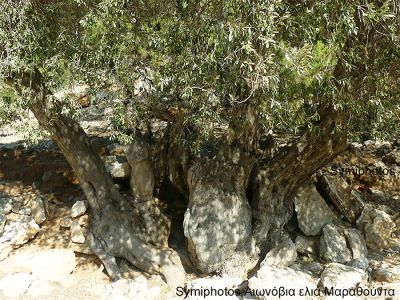 Κάντε κλικ για να δείτε την εικόνα σε πλήρες μέγεθος